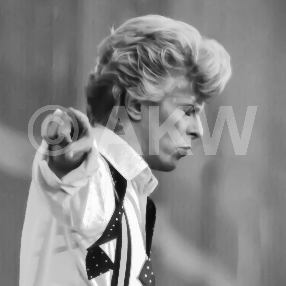 Galleri Stilla Bilder