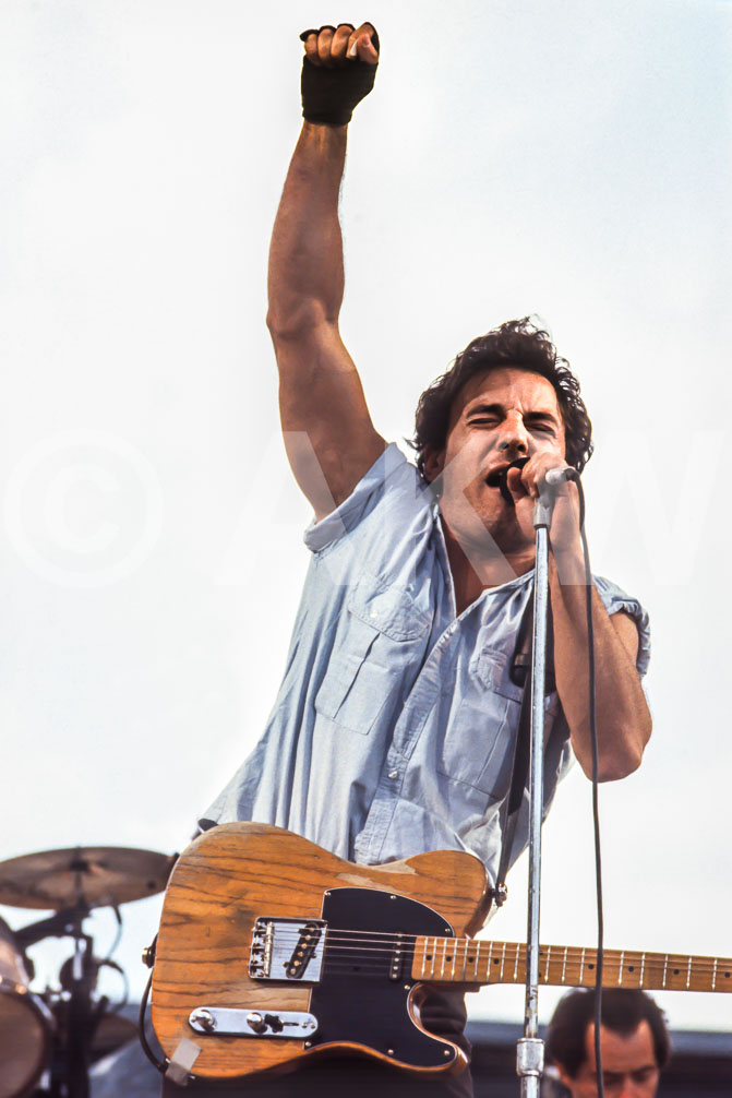 Galleri Stilla Bilder